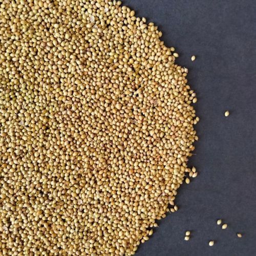 Coriander Powder 200g image